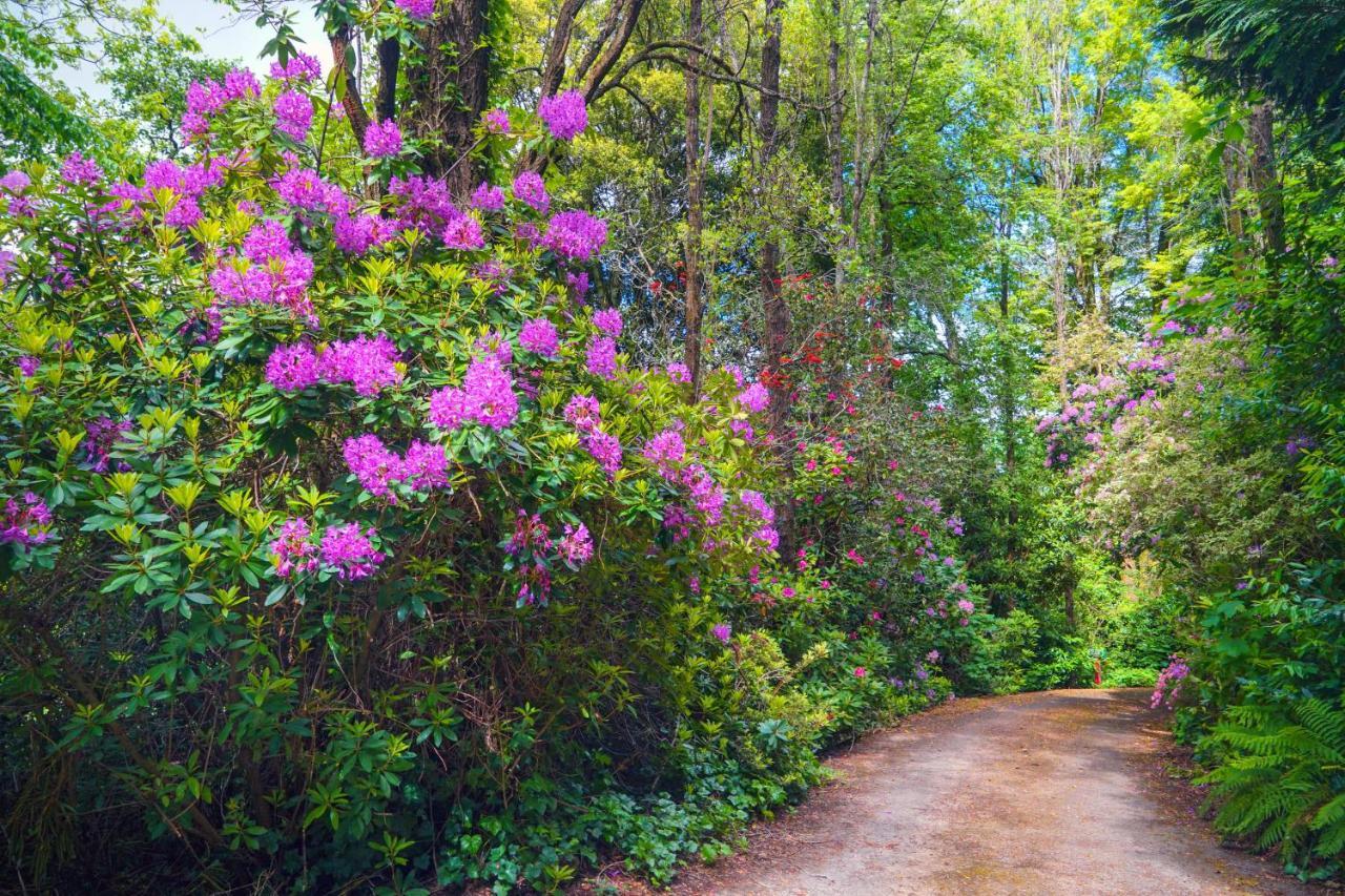 Arnica Views Summit Retreat Bed & Breakfast Mount Dandenong Ngoại thất bức ảnh