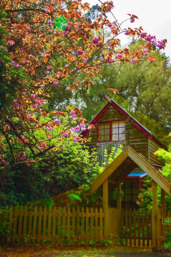 Arnica Views Summit Retreat Bed & Breakfast Mount Dandenong Ngoại thất bức ảnh