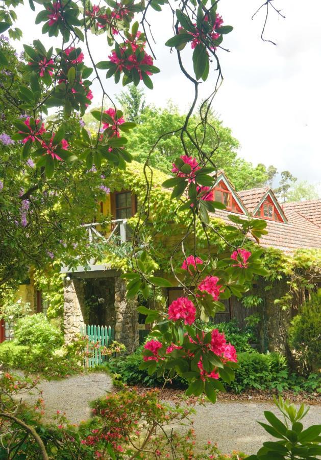 Arnica Views Summit Retreat Bed & Breakfast Mount Dandenong Ngoại thất bức ảnh